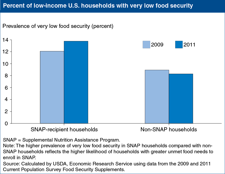 This chart shows: 'Editor's Pick 2013, #6:<br>Inflation-adjusted value of SNAP benefits declined; food insecurity increased from 2009-11'.