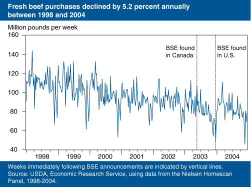 This chart shows: 'Fresh beef purchases declined by 5.2 percent annually between 1998 and 2004'.