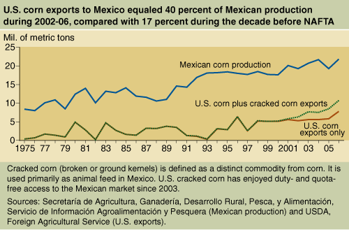 This chart shows: 'U.S. corn exports to Mexico equaled 40 percent of Mexican production during 2002-06, comapred with 17 percent during the decade before NAFTA'.