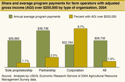 This chart shows: 'Share and average program payments for farm operators with adjusted gross income (AGI) over $200,000 by type of organization, 2004'.
