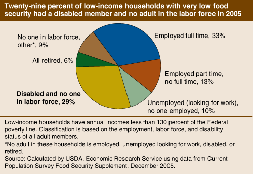 This chart shows: 'Twenty-nine percent of low-income households with very low food security had a disabled member and no adult in the labor force in 2005'.