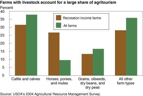 This chart shows: 'Most million-dollar farms were organized as family farms in 2005'.
