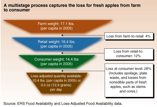 This chart shows: 'A multistage process captures the loss for fresh apples from farm to consumer.'.