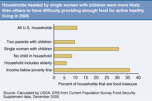This chart shows: 'Households headed by single women with children were more likely than others to have difficulty providing enough food for active healthy living in 2005.'.