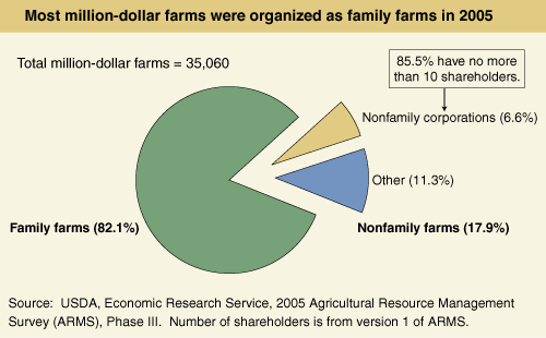This chart shows: 'Most million-dollar farms were organized as family farms in 2005'.