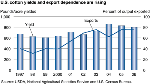 This chart shows: 'U.S. cotton yields and export dependence are rising'.