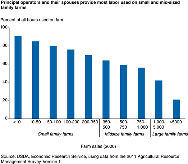 This chart shows: 'Principal operators and their spouses provide most labor used on small and mid-sized family farms'.