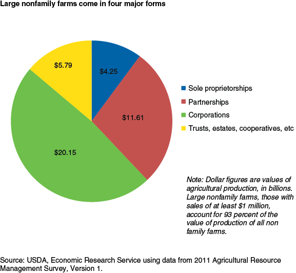 This chart shows: 'Large nonfamily farms come in four major forms'.