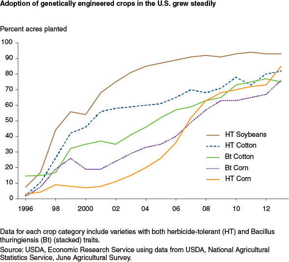 This chart shows: 'Adoption of genetically engineered crops in the U.S. grew steadily'.