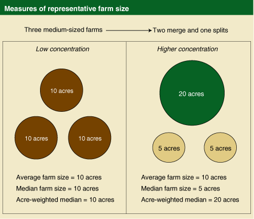 This chart shows: 'Measures of representative farm size'.