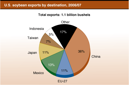 This chart shows: 'U.S. soybean exports by destination, 2006/07'.