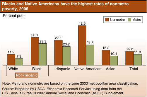 This chart shows: 'Blacks and Native Americans have the highest rates of nonmetro poverty, 2006'.