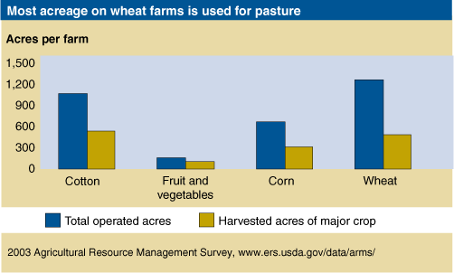 This chart shows: 'Most acreage on wheat farms is used for pasture'.