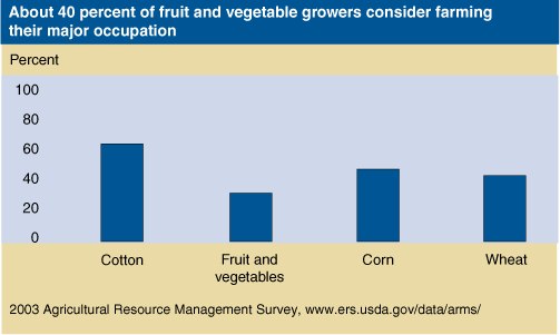 This chart shows: 'About 40 percent of fruit and vegetable growers consider farming  their major occupation'.