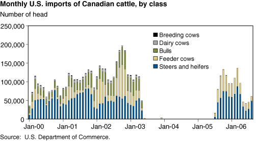 This chart shows: 'Monthly U.S. imports of Canadian cattle, by class'.