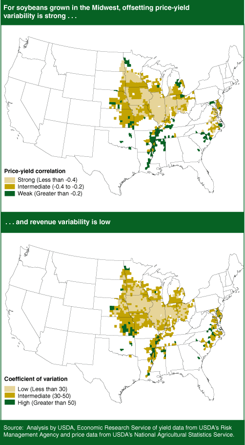 This chart shows: 'Maps: For soybeans grown in the Midwest, offsetting price-yield variability is strong. . . and revenue variability is low'.