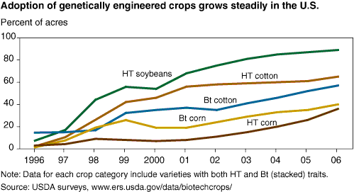 This chart shows: 'Adoption of genetically engineered crops grows steadly in the U.S.'.