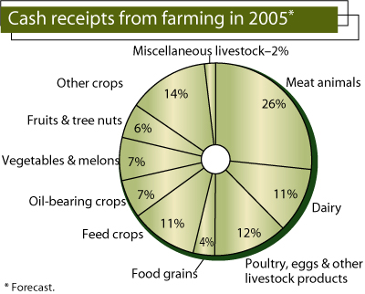 This chart shows: 'Cash receipts from farming in 2005'.