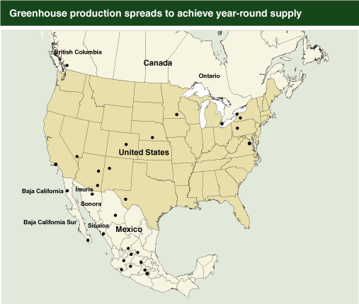 This chart shows: 'Greenhouse production spreads to achieve year-round supply'.