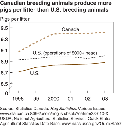 This chart shows: 'Canadian breeding animals produce more pigs per litter than U.S. breeding animals'.