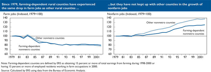 This chart shows: 'Since 1979, farming-dependent rural counties have experienced the same drop in farm jobs as other rural counties...but they have not kept up with other counties in the growth of nonfarm jobs'.