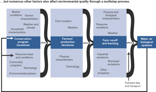 This chart shows: '...but numerous other factors also affect environmental quality through a multistep process.'.