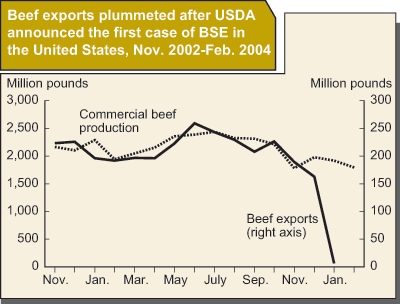 This chart shows: 'Beef exports plummeted after USDA announced the first case of BSE in the United States, Nov. 2002-Feb. 2004'.