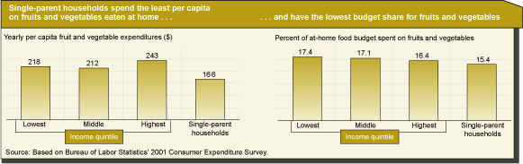This chart shows: 'Single-parent households spend the least per capita on fruits and vegetables eaten at home...and have the lowest budget share for fruit and vegetables'.