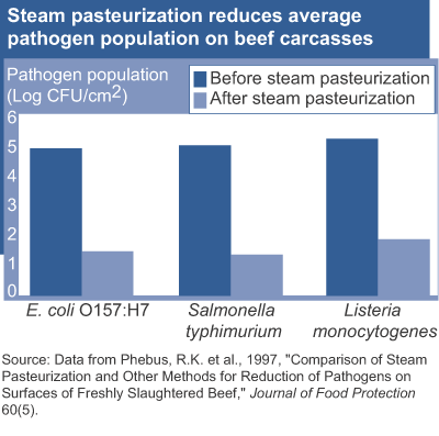This chart shows: 'steam pasteurization reduces average pathogen population on beef carcasses'.