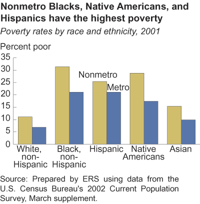 This chart shows: 'Nonmetro Blacks, Native Americans, and Hispanics have the highest poverty'.