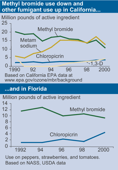 This chart shows: 'Methyl bromide use down and other fumigant use up in California...and in Florida'.