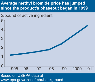 This chart shows: 'Average methyl bromide price has jumped since the product's phaseout began in 1999'.