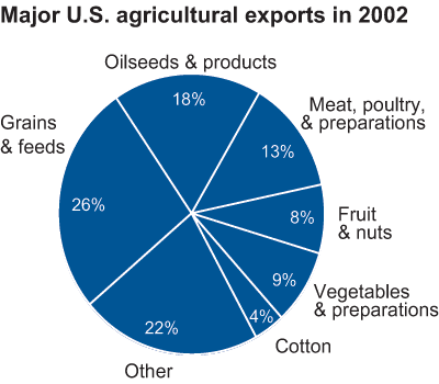 This chart shows: 'Major U.S. agricultural exports in 2002'.