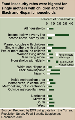 This chart shows: 'Food insecurity rates were highest for single mothers with children and for Black and Hispanic households.'.