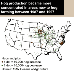 This chart shows: 'Hog production became more concentrated in areas new to hog farming between 1987 and 1997'.