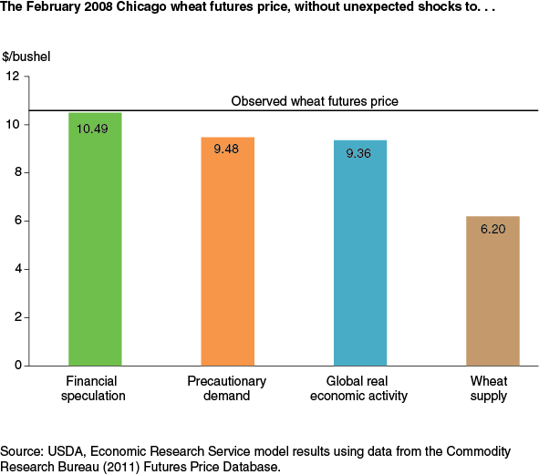 This chart shows: 'The February 2008 Chicago wheat futures price, without unexpected shocks to...'.