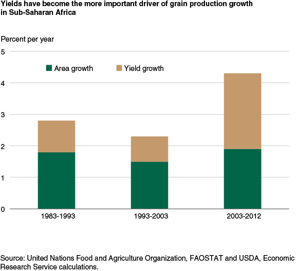 This chart shows: 'Yields have become the more important driver of grain production growth in Sub-Saharan Africa'.