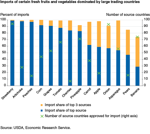 This chart shows: 'Imports of certain fresh fruits and vegetables dominated by large trading countries'.