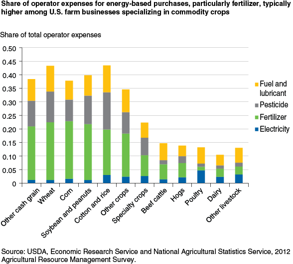 This chart shows: 'Share of operator expenses for energy-based purchases, particularly fertilizer, typically higher among U.S. farm businesses specializing in commodity crops'.