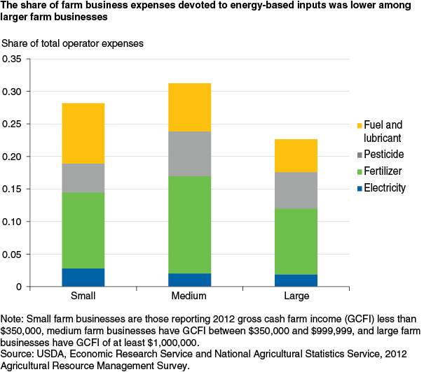 This chart shows: 'The share of farm business expenses devoted to energy-based inputs was lower among larger farm businesses'.