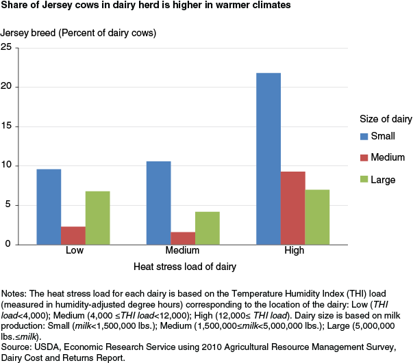 This chart shows: 'Share of Jersey cows in dairy herd is higher in warmer climates'.