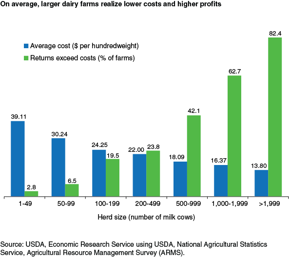 This chart shows: 'On average, larger dairy farms realize lower costs and higher profits'.