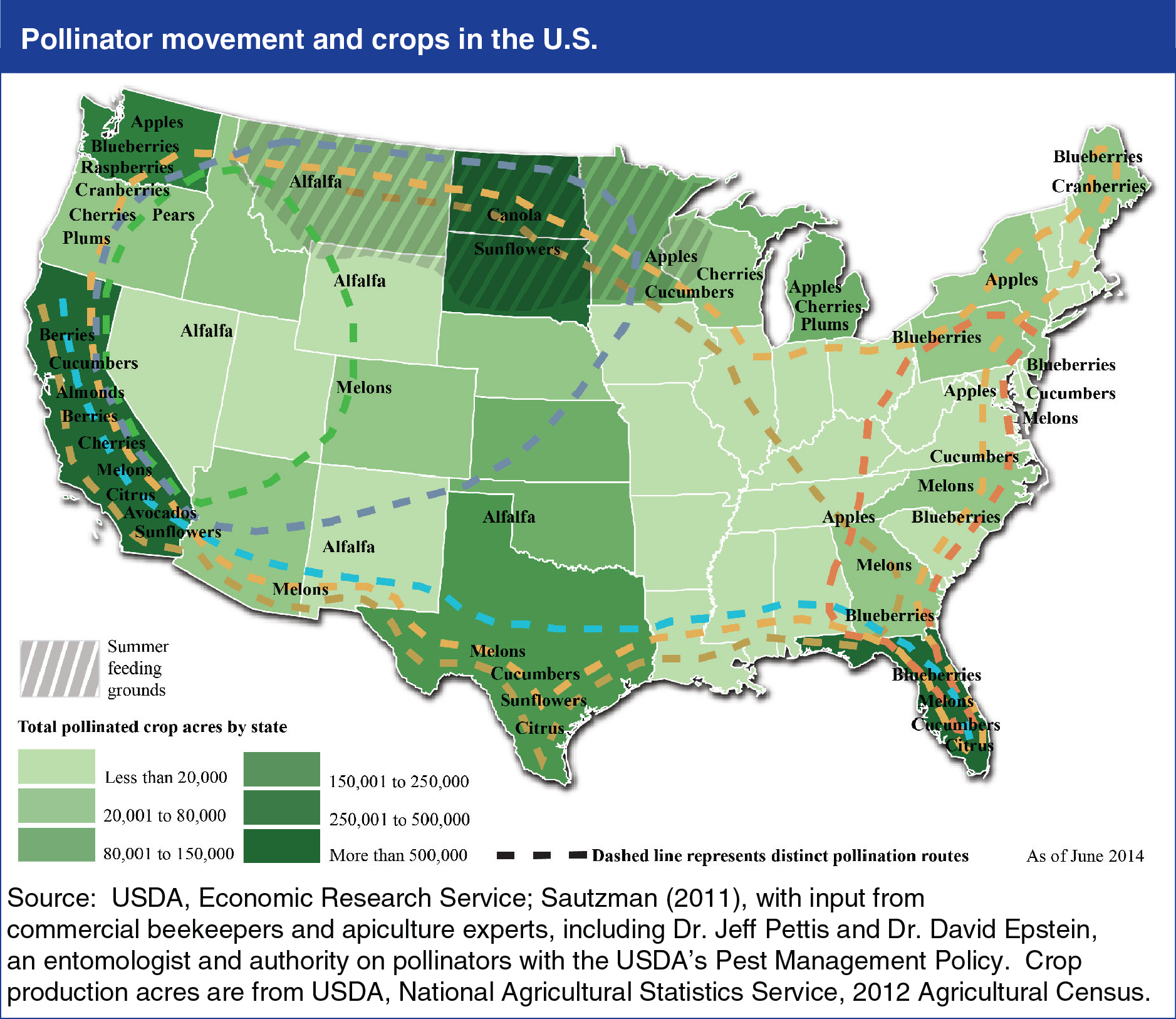A map of the U.S. showing the pollinator movement and crops.
