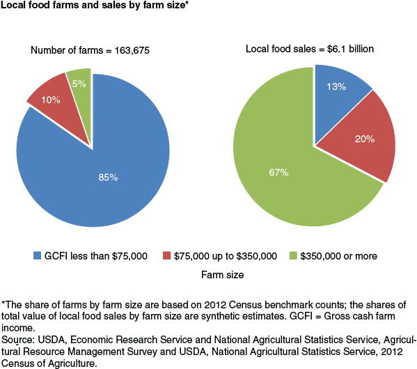 This chart shows: 'Local food farms and sales by farm size'.