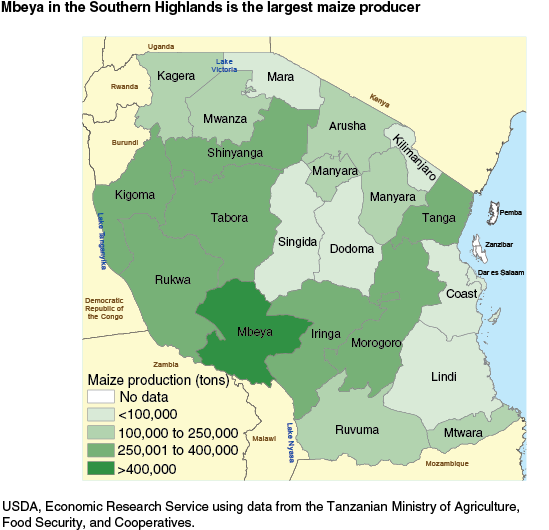 This chart shows: 'Mbeya in the Southern Highlands is the largest maize producer'.