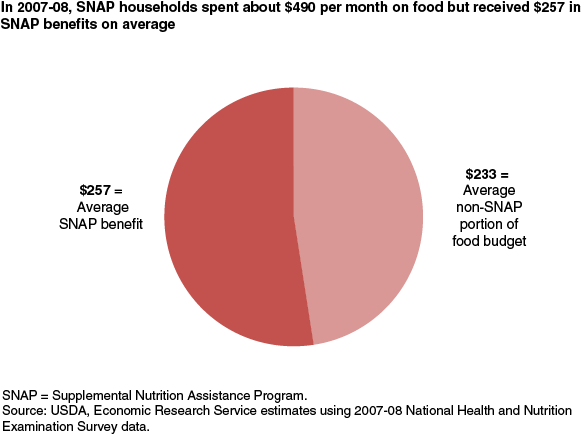 This chart shows: 'In 2007-08, SNAP households spent about $490 per month on food, but received $257 in SNAP benefits on average'.