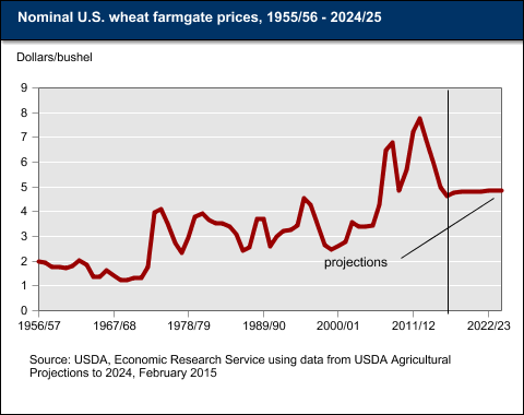 This chart shows: 'Nominal U.S. wheat farmgate prices, 1955/56-2024/25'.
