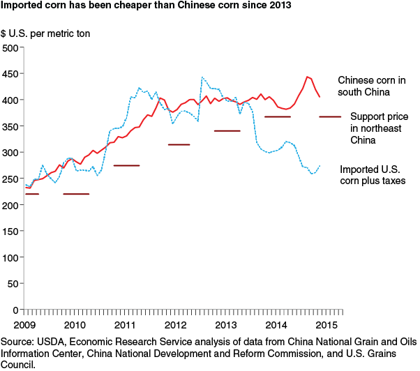 This chart shows: 'Imported corn has been cheaper than Chinese corn since 2013'.