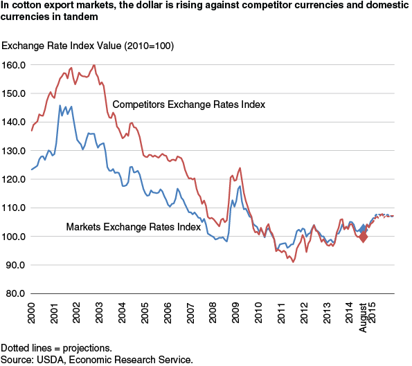 This chart shows: 'In cotton export markets the dollar is rising against competitor currencies and domestic currencies in tandem'.