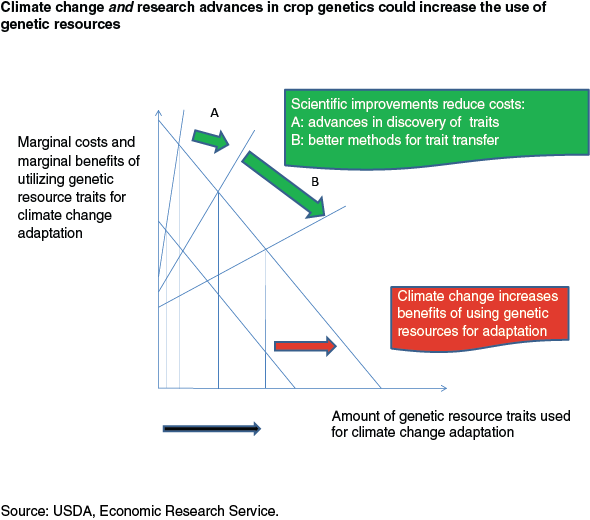 This chart shows: 'Climate change and research advances in crop genetics could increase the use of genetic resources'.